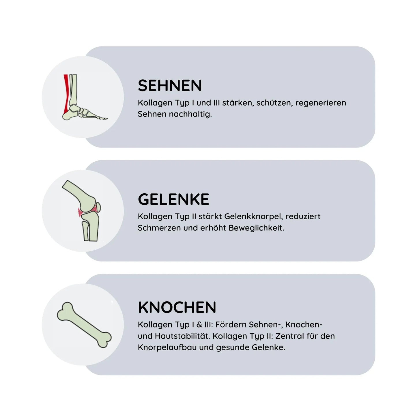ArthroTotal: Kollagen-Pulver für Menschen