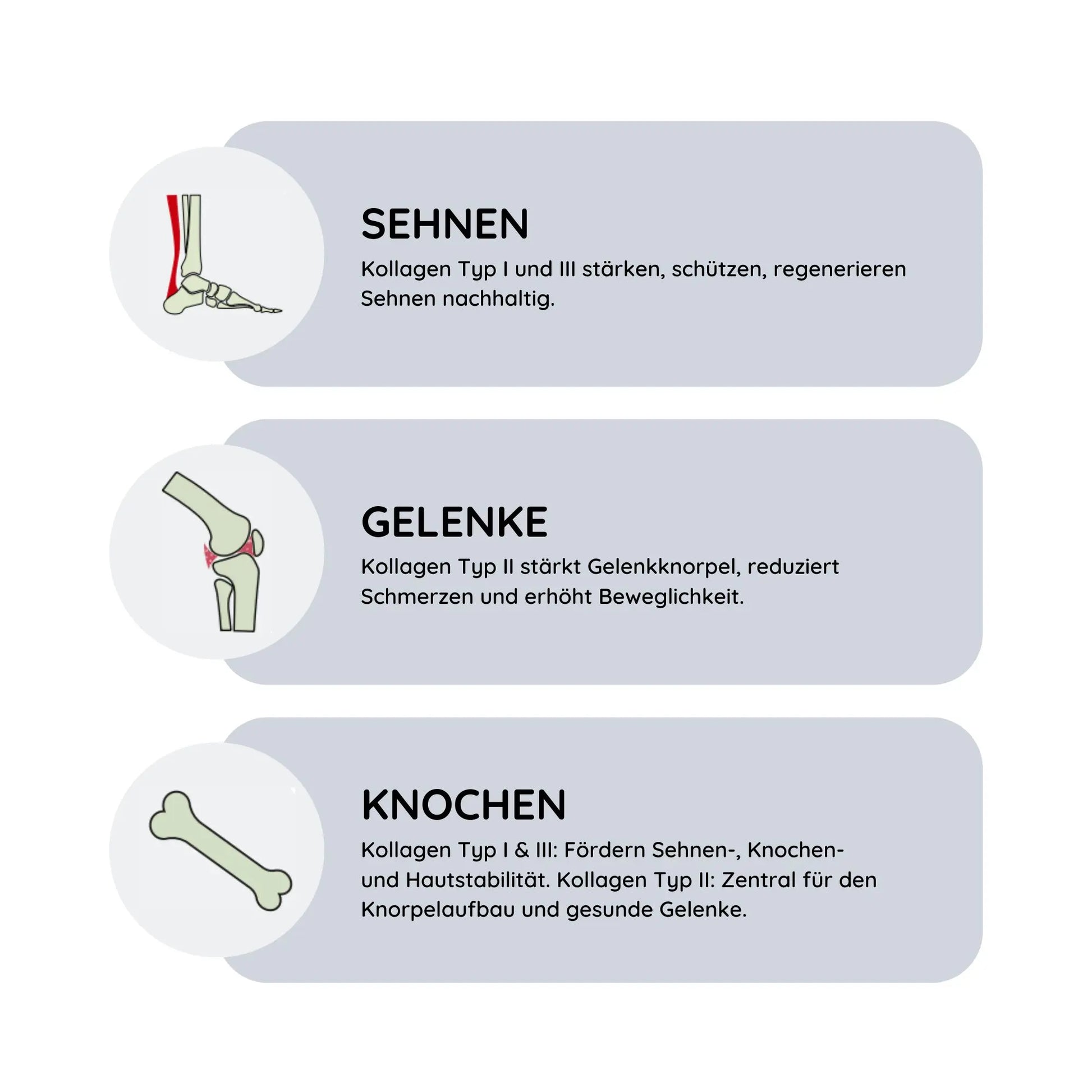 ArthroTotal: Kollagen-Pulver für Menschen