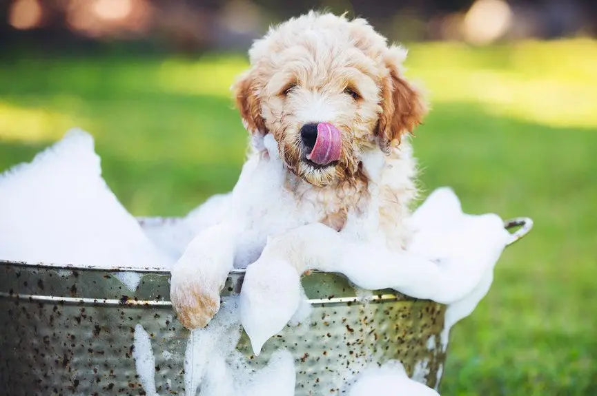 Pflegeprodukte für Hunde: Ein Hund badet in einer Wanne