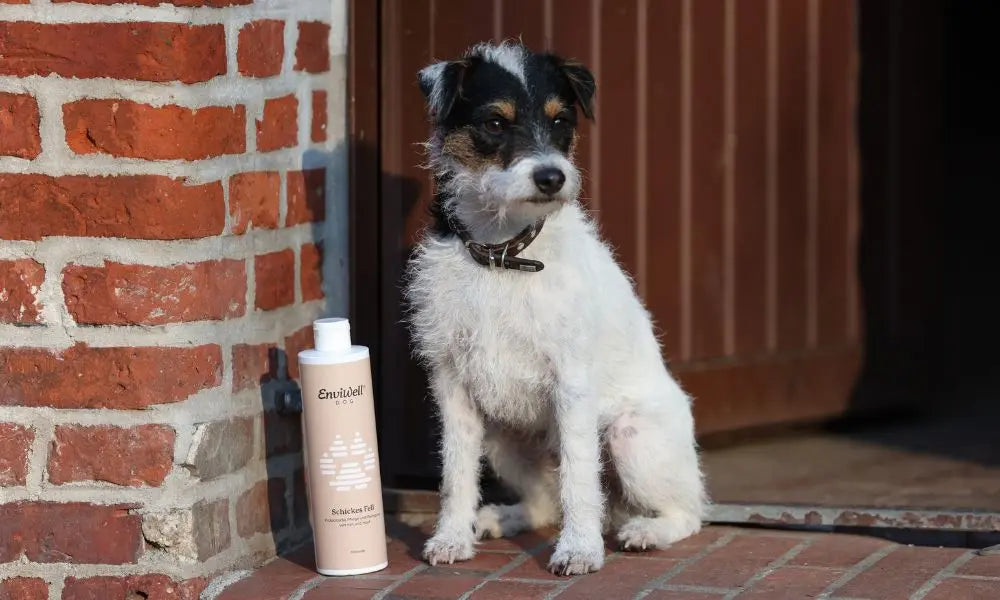 Kollagen für Hunde: Hund steht neben einem Produkt von EnviWell