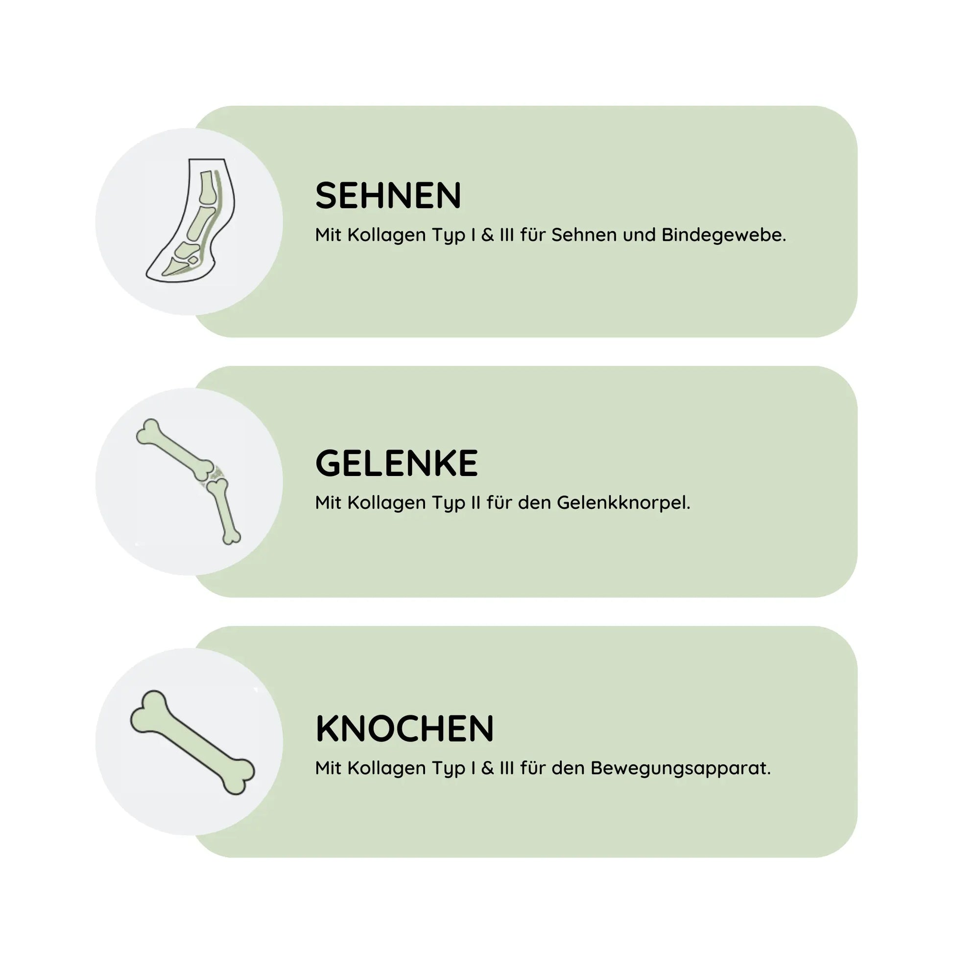 ArthroTotal: Kollagen-Pulver für Pferde