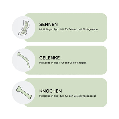ArthroTotal: Kollagen-Pulver für Pferde