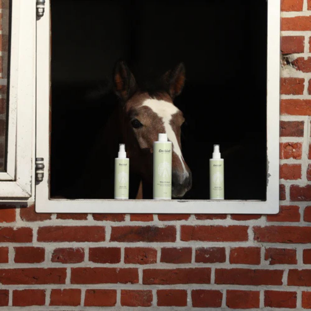Pferd mit EnviWell Pflegeprodukten
